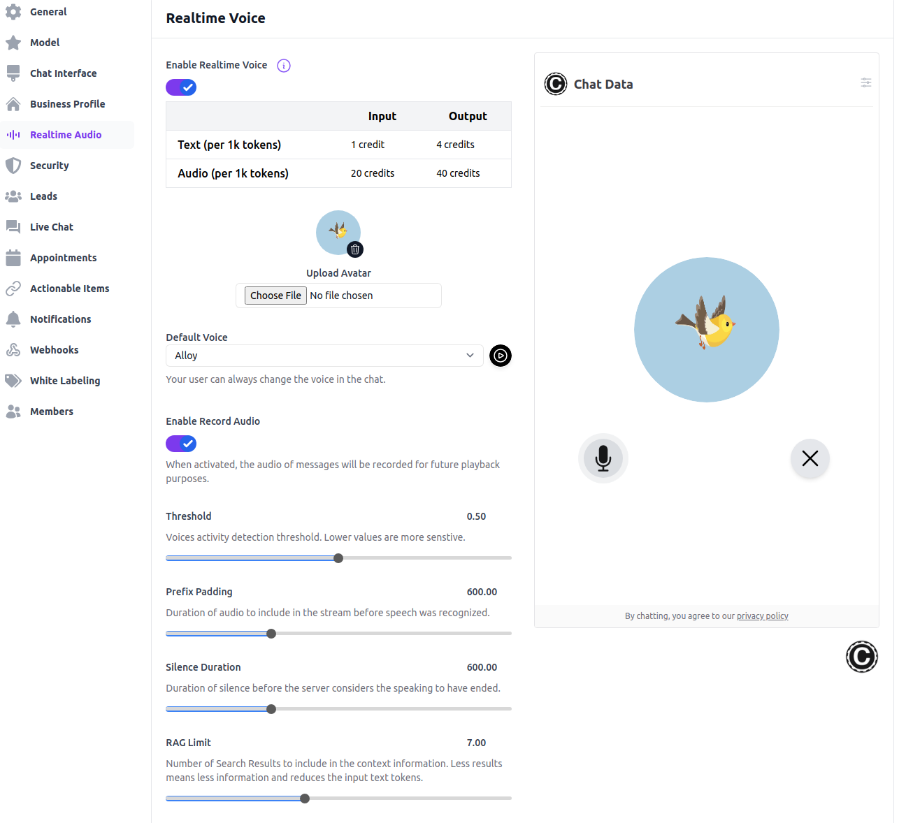 Realtime Voice Chat Settings