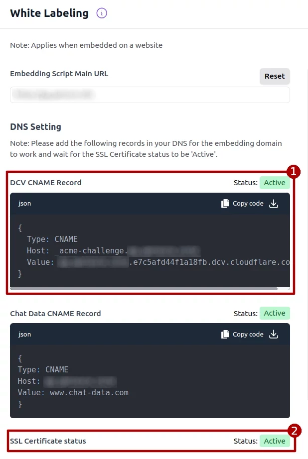 White labeling DNS setup